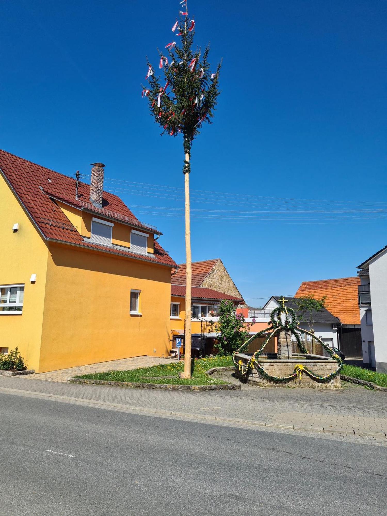 Ferienwohnung Pflueger Mit Terrasse Лауда-Кёнигсхофен Экстерьер фото